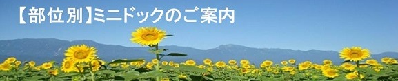 健康医学センター