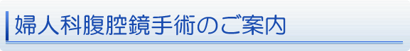 婦人科腹腔鏡手術のご案内